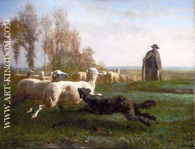 Rounding Up The Sheep