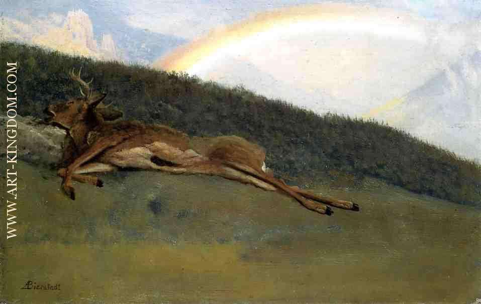 Rainbow over a Fallen Stag