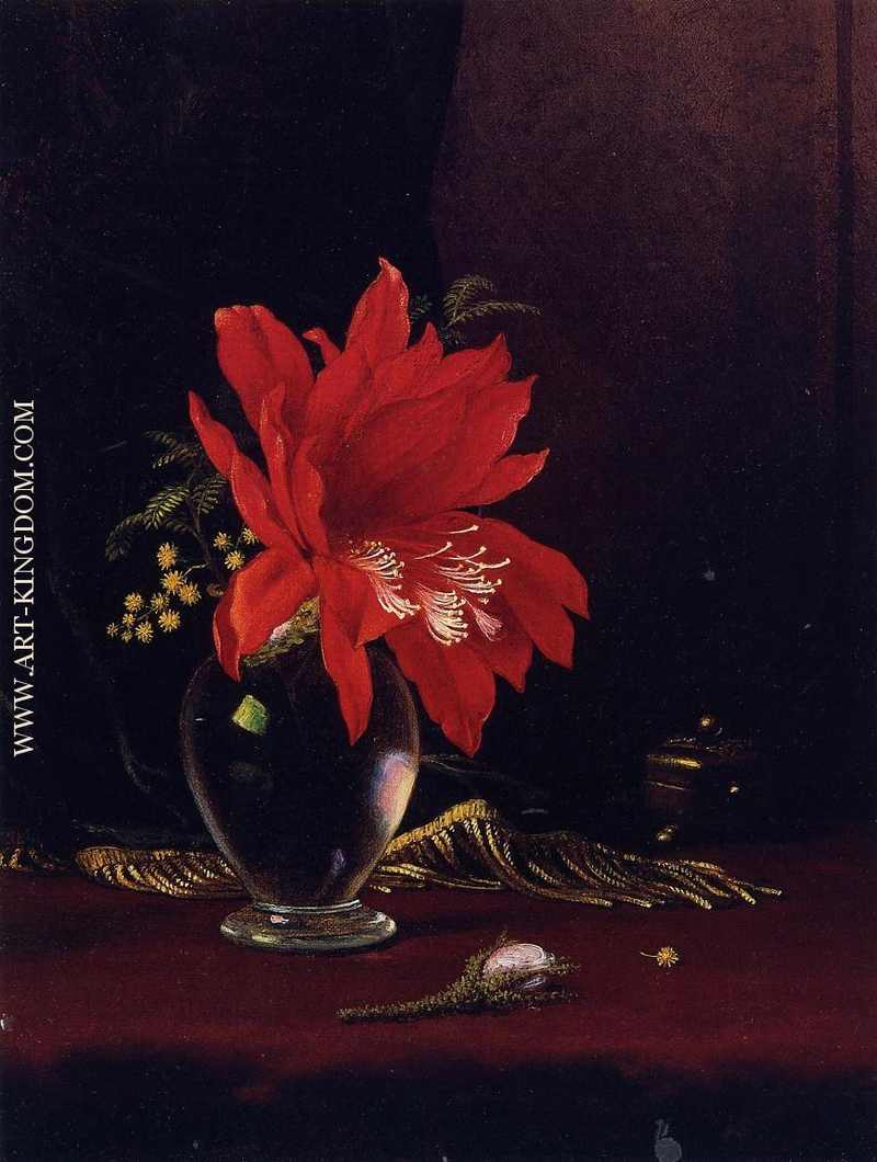 Red Flower in a Vase