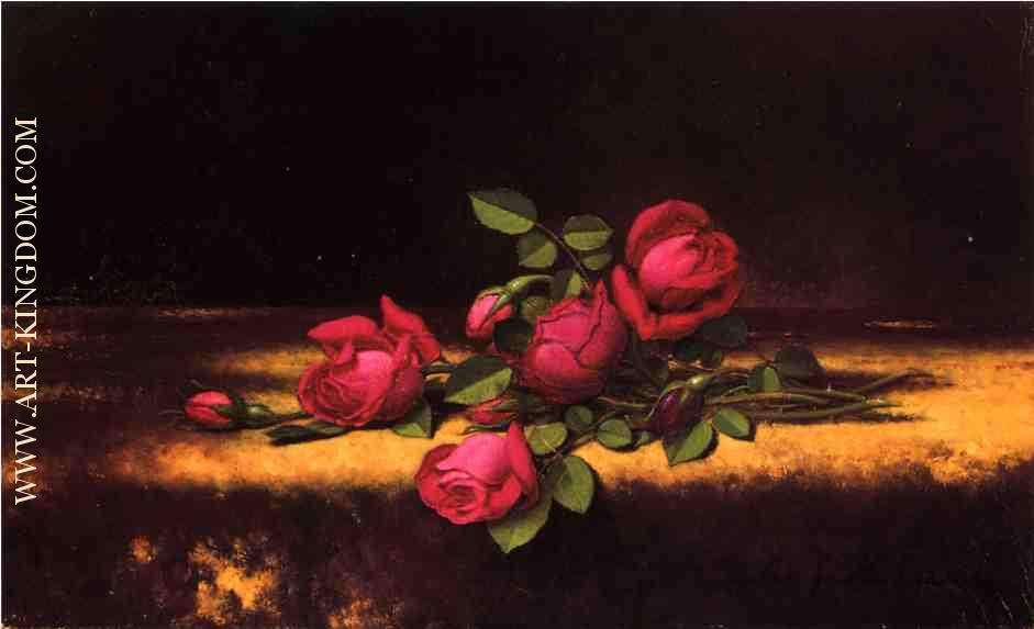 Jaqueminot Roses 