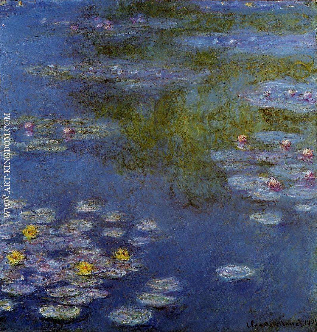 Water Lilies 20