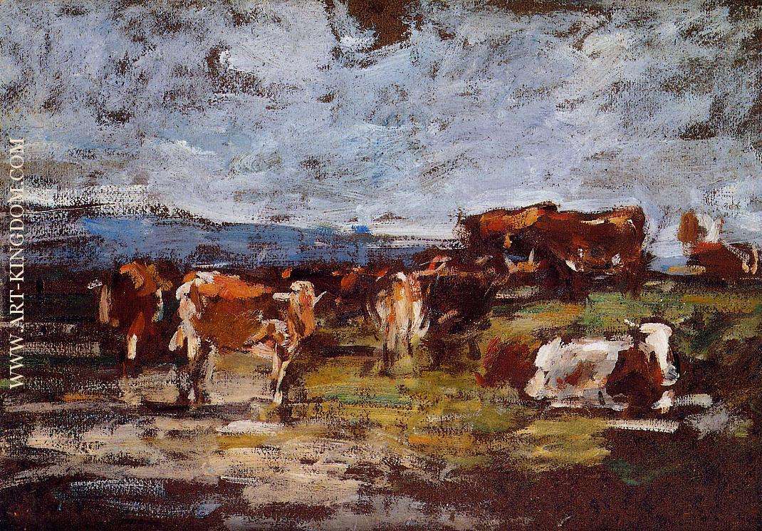 Cows in Pasture