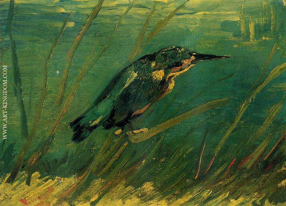 The Kingfisher