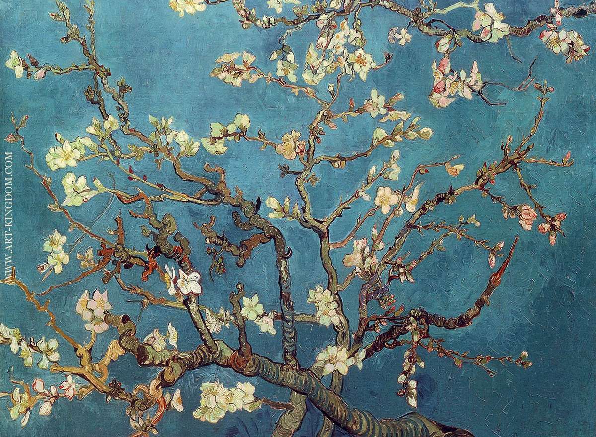 Branches with Almond Blossom