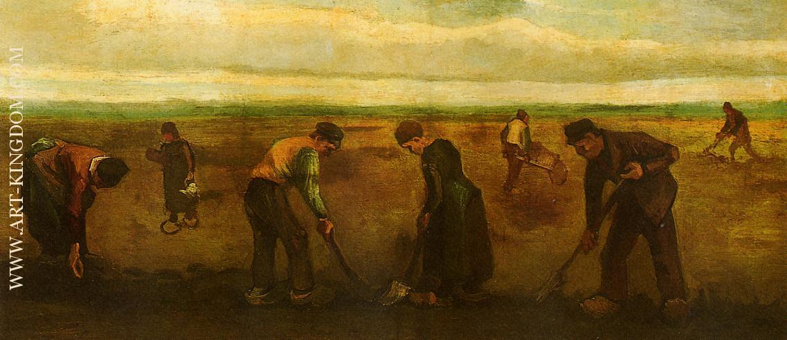 Farmers Planting Potatoes