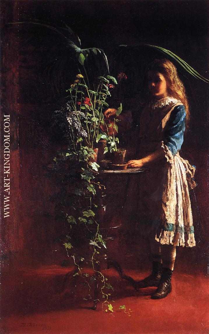 Watering Flowers