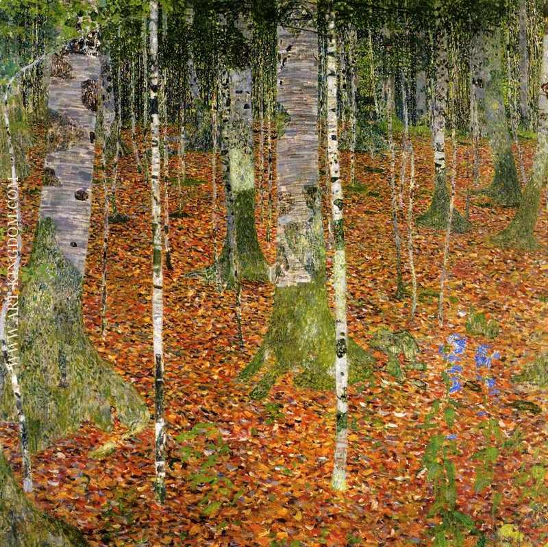 Birch Forest