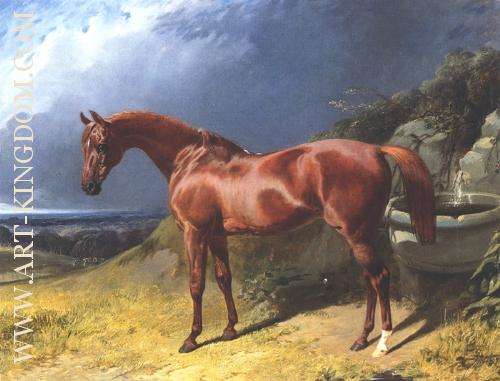 Chestnut A Racehorse