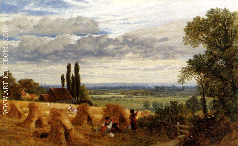 Harvesting Near Newark Priory Ripley Surrey