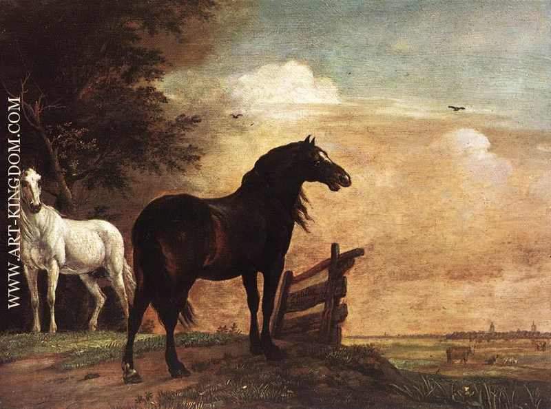 Horses in a Field