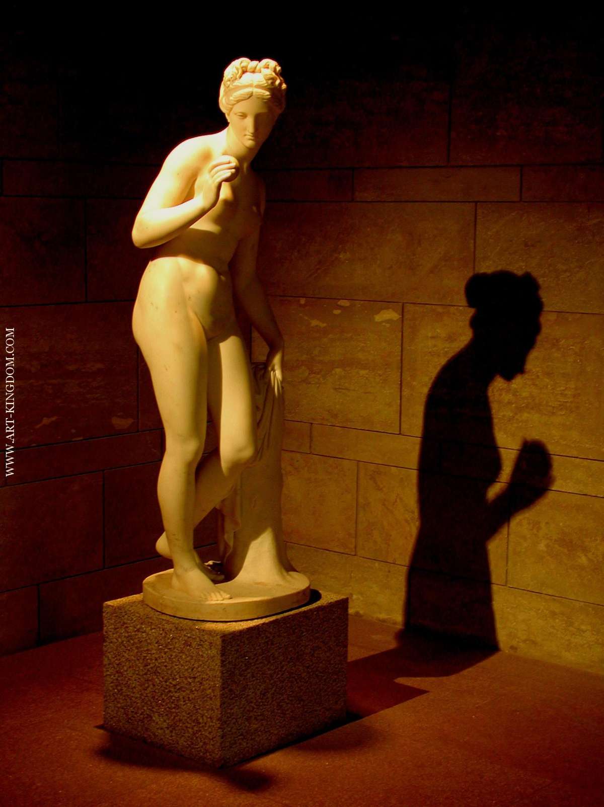 Venus with Apple