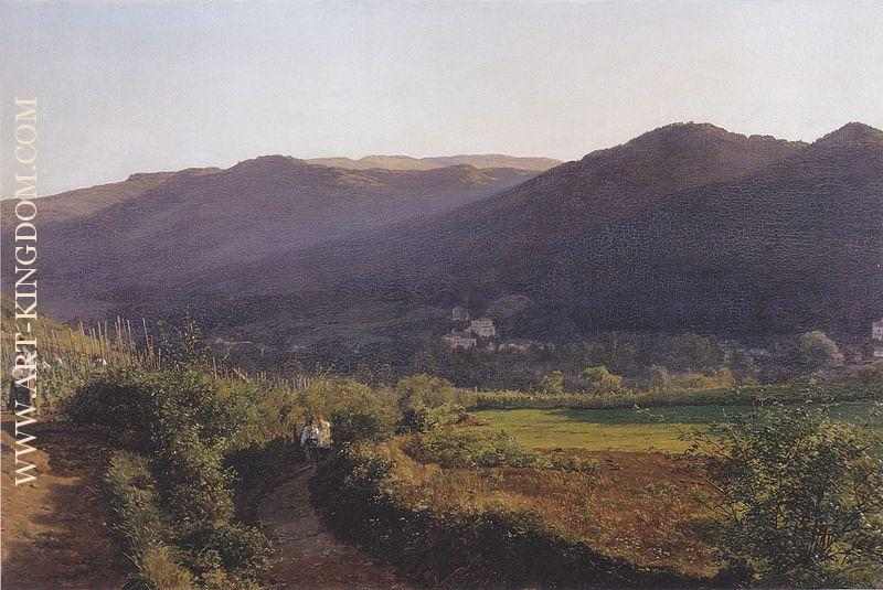 Mountain landscape with vineyard