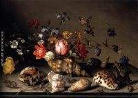 Still Life of Flowers Shells and Insects