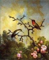 Ruby Throated Hummingbirds with Apple Blossoms