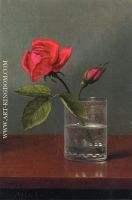 Red Rose and Bud in a Tumbler on a Shiny Table