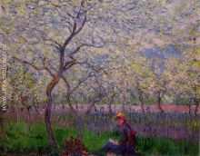 An Orchard in Spring