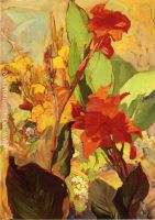 Canna Lillies