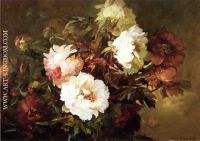 Peonies