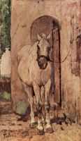 A white horse in front of a door