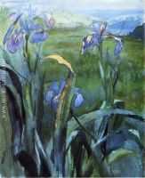 Blue Iris Study