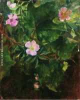 Wild Roses and Grape Vine Study from Nature