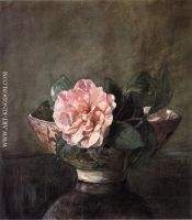 Camellia in Old Chinese Vase on Black Lacquer Table