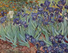 Irises