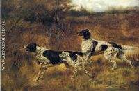 Hunting Dogs