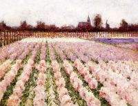 Field of Flowers