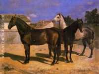 Caballos 