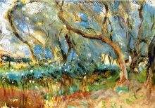 Landscape 1909 Corfu