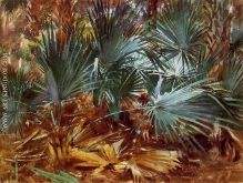 Palmettos