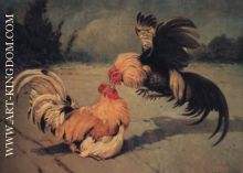 Gallos de pelea