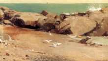 Rocky Coast and Gulls