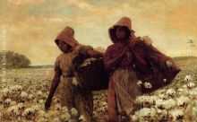 The Cotton Pickers