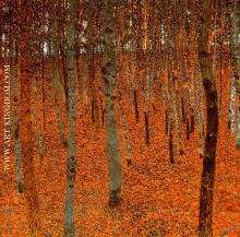 Beech Forest I