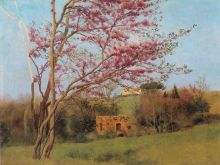 Landscape Blossoming Red Almond study 