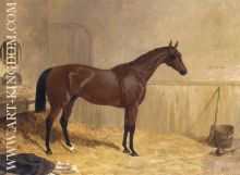 Cotherstone A Racehorse 1843