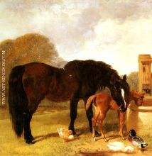 Horse and Foal watering at a trough