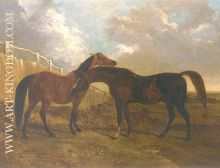 Languish and Pantaloon Two Horses in Landscape