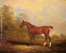 Cecil a favorite Hunter of the Earl of Jersey in a Landscap