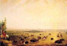 Surround of Buffalo by Indians