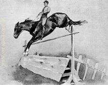 Five Foot Hurdle Bareback