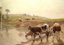 Cattle In A Pasture