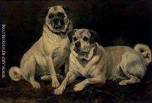 Pugs