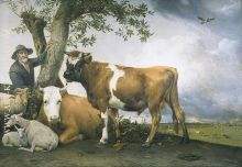 De Stier