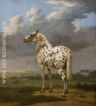 The Piebald Horse