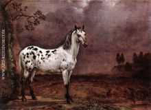 The Spotted Horse