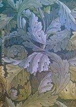 Blue acanthus